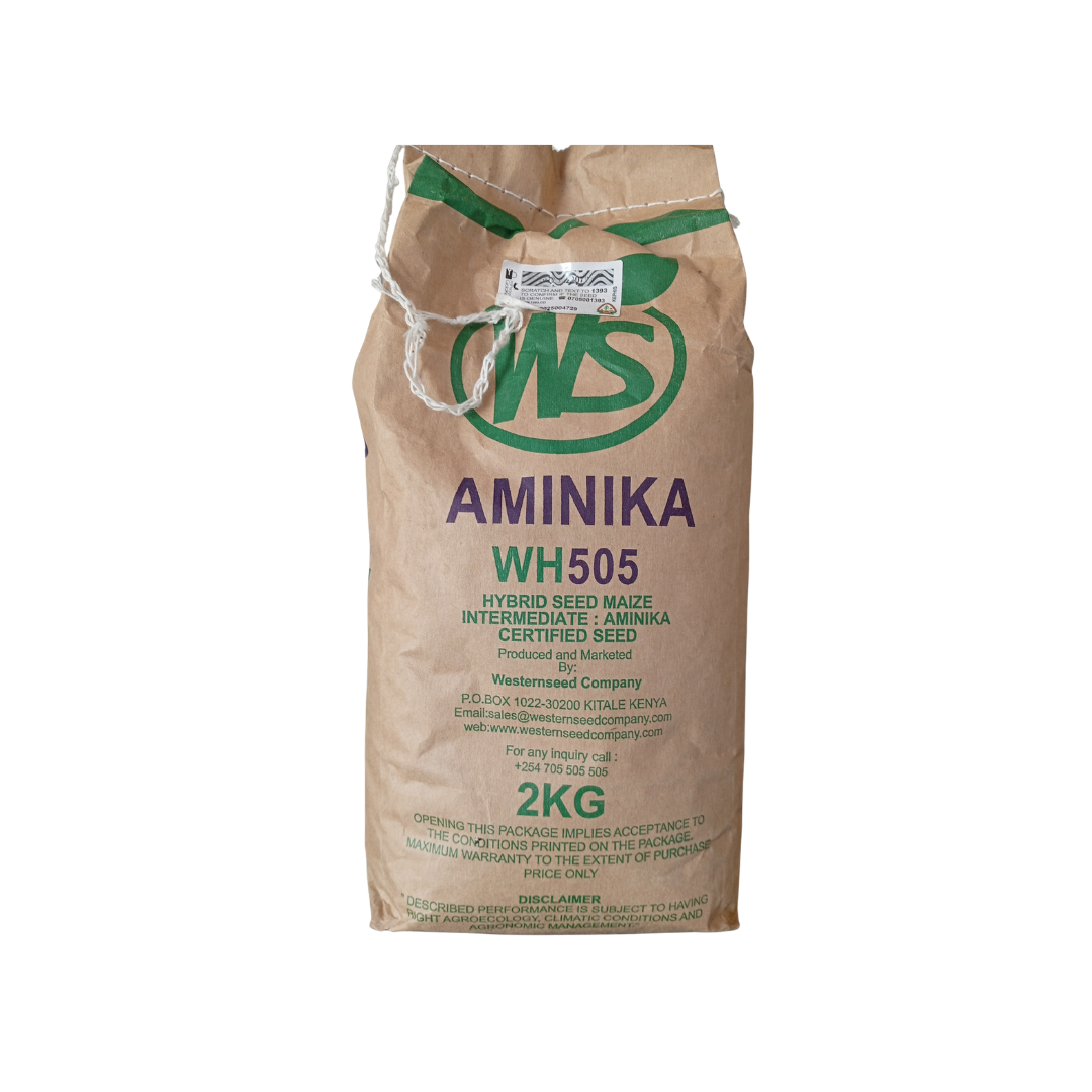 Aminika 505